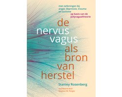 De nervus vagus als bron van herstel