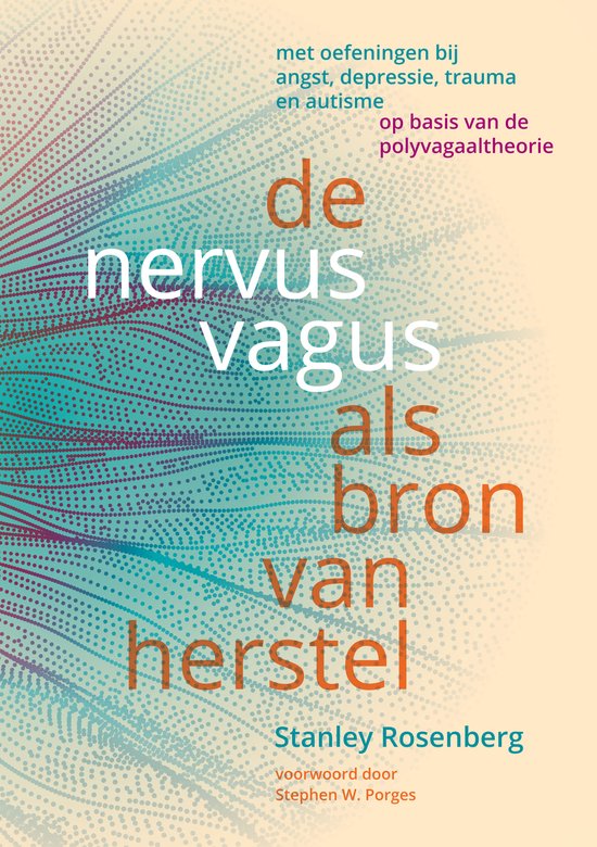 De nervus vagus als bron van herstel