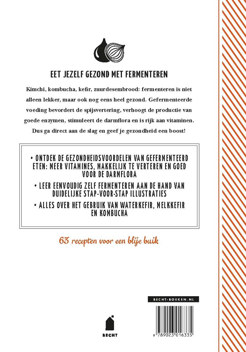 Achterkant boek 'Fermenteren'. Bevat 63 recepten voor een blije buik, gezond eten en fermentatie.