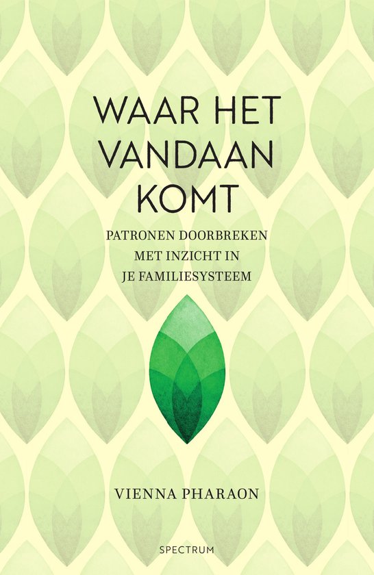 Waar het vandaan komt