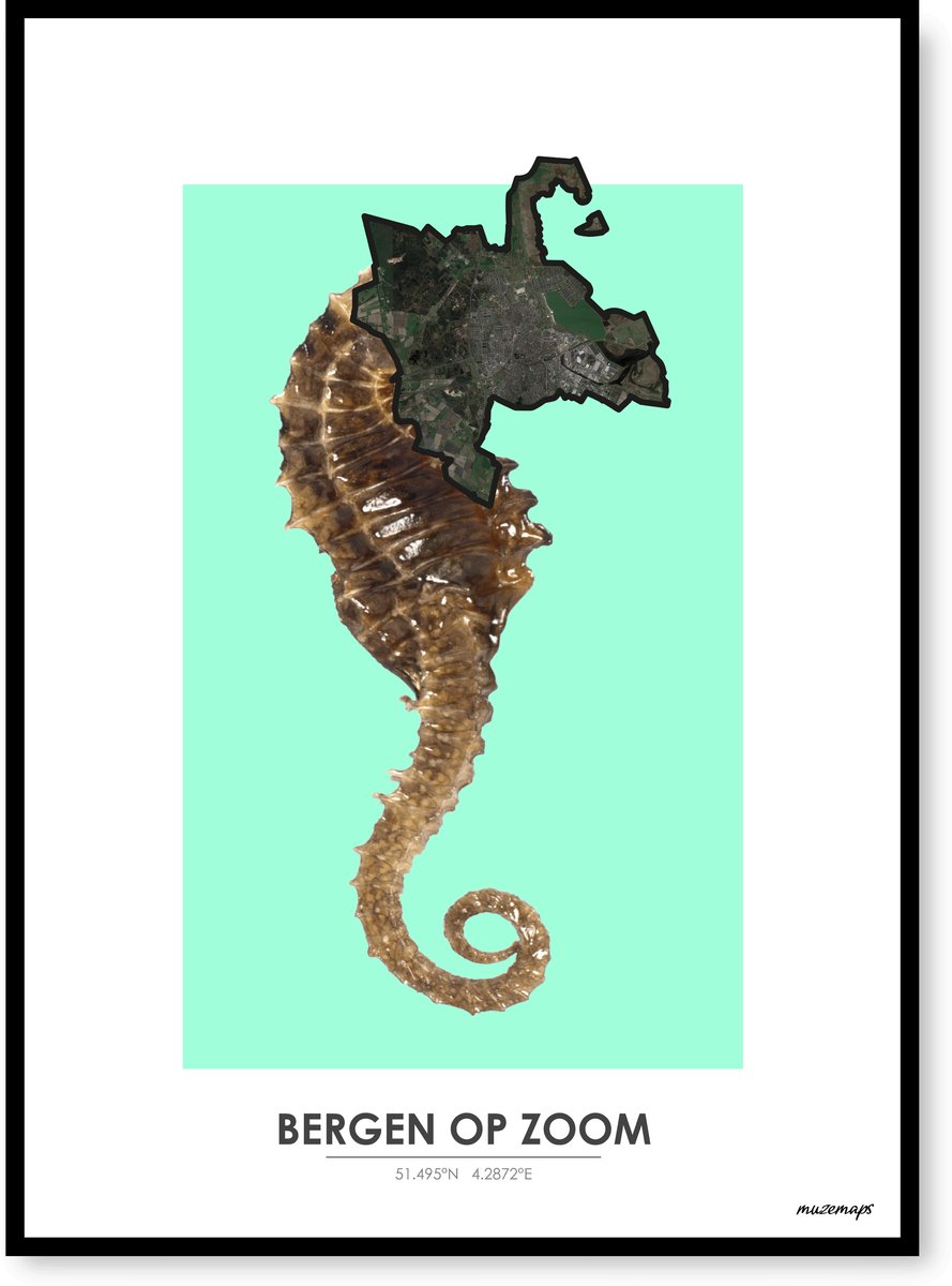 Poster Bergen op Zoom - Handgemaakte stadskaart - Pop-Art Design - B2 (50 x 70 cm) - MuzeMaps