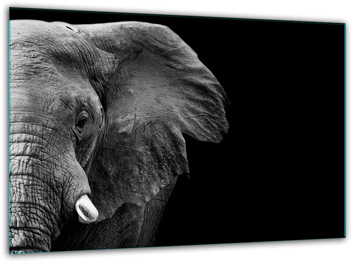 TMK ArtDeko - Snijplank - Gehard Glas - 30x22 cm - Sierlijke Olifant