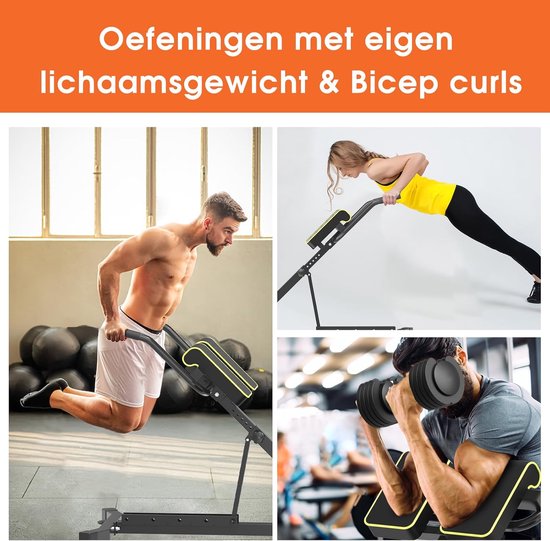 Chaise romaine Hyper réglable ABS Banc Home Gym Muscle Bas du dos Chaise romaine Hyper réglable ABS Banc Home Gym Muscle Bas du dos