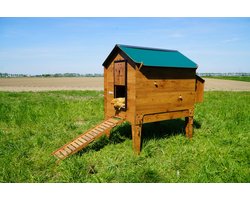 Trespa Kunststof Kippenhok | Classic XL | Op Pootjes | Cucciolotta
