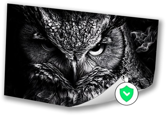 Mystiek zwart-wit uilenportret - Uil poster - Poster dieren - Hyperrealisme - Decoratieve posters - Posterprints - Poster 70x50 cm