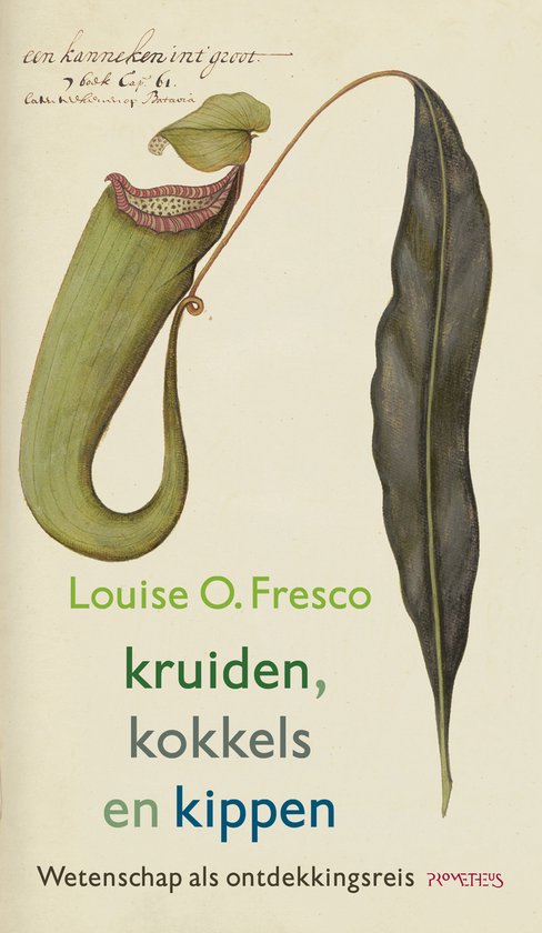 Foto: Essay maand van de geschiedenis kruiden kokkels en kippen