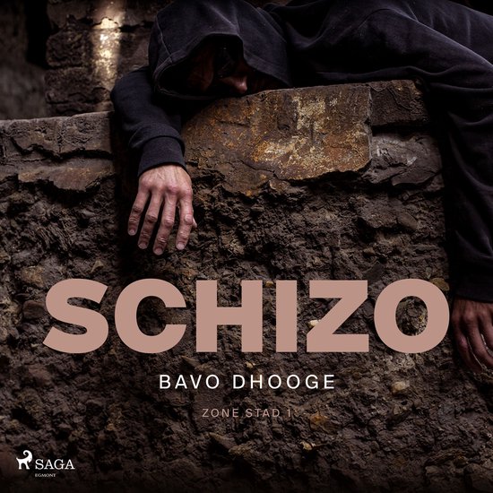 Schizo - cover