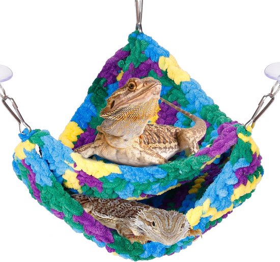 Baardagaam (Pogona vitticeps ) | Van Beek dierenwinkel Baardagaam (Pogona vitticeps ) | Van Beek dierenwinkel