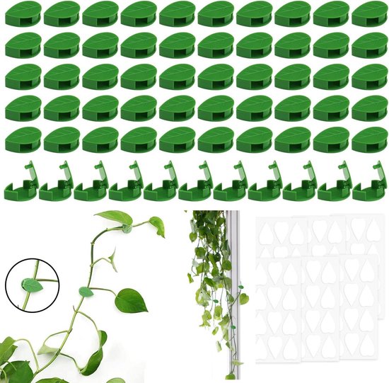 Zelfklevende Planten Clips Clips Voor Klimplanten Klimplanten Groene Clip Groene Clip Klimplanten Zelfklevende Clips Planten Planten Onzichtbare Clips 100 Plantenclips Zelfklevende Clip Voor Planten