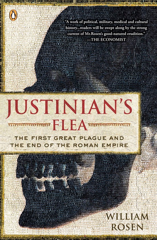 Boekhoes met mozaïek van een doodshoofd, met de titel 'Justinian's Flea'.