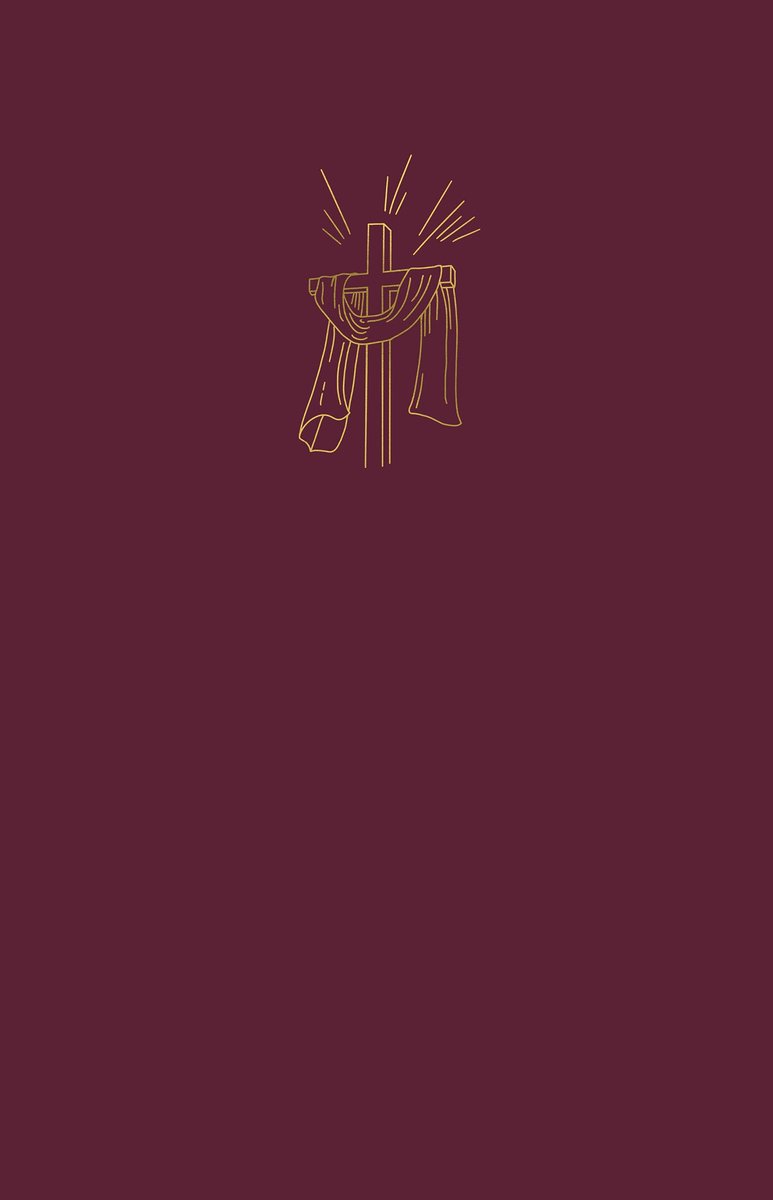 Omslag van Bíblia Sagrada Slim NVI · cereja (ebook)
