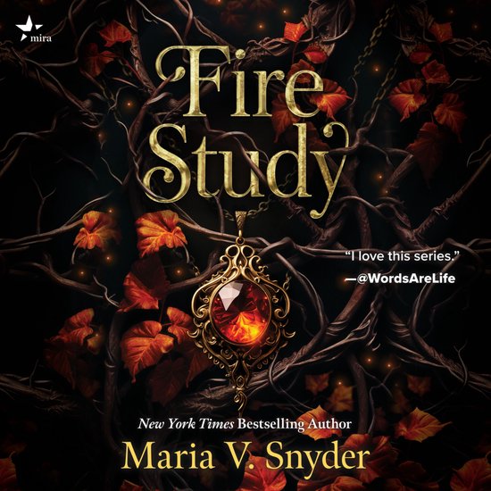 Fire Study - cover