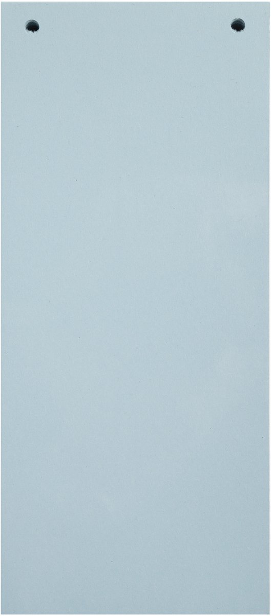 Exacompta 12x FOREVER® Pak van 100 horizontale tabstroken met perforatie 180g - 105x240mm - Lichtblauw - 13415B