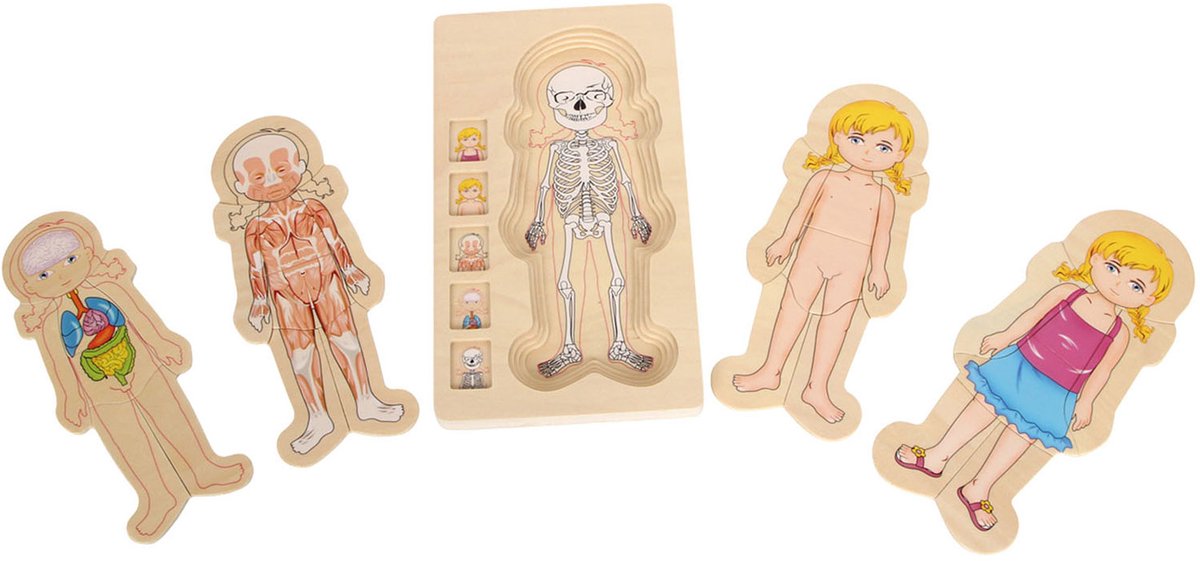 Small Foot vormenpuzzel Anatomie junior hout 28 stukjes