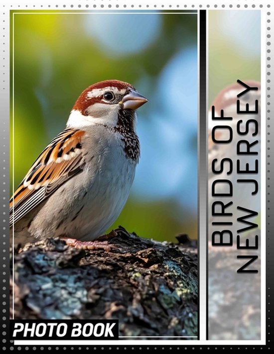 Birds of New Jersey Photo Book - cover