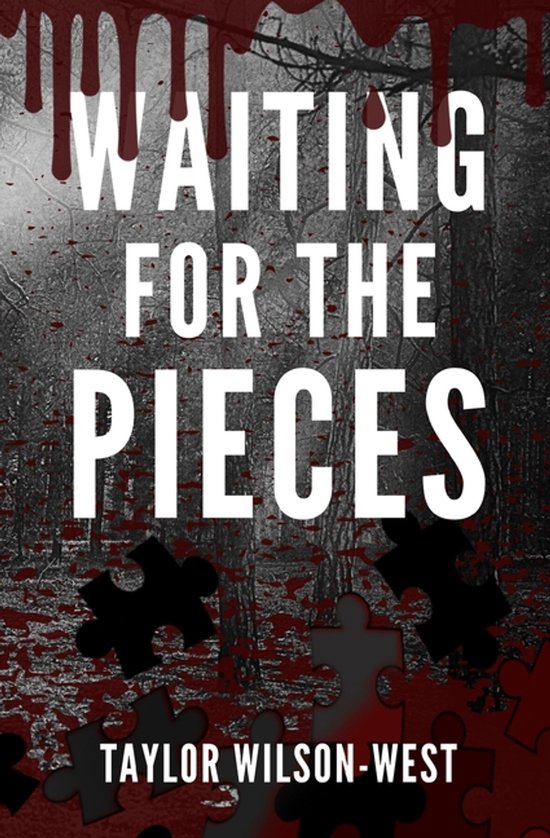 Waiting for the Pieces - cover