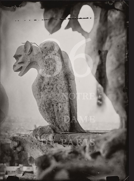 Tomas Van Houtryve: 36 Views of Notre Dame - cover