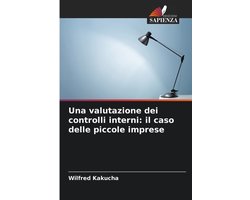 Una valutazione dei controlli interni