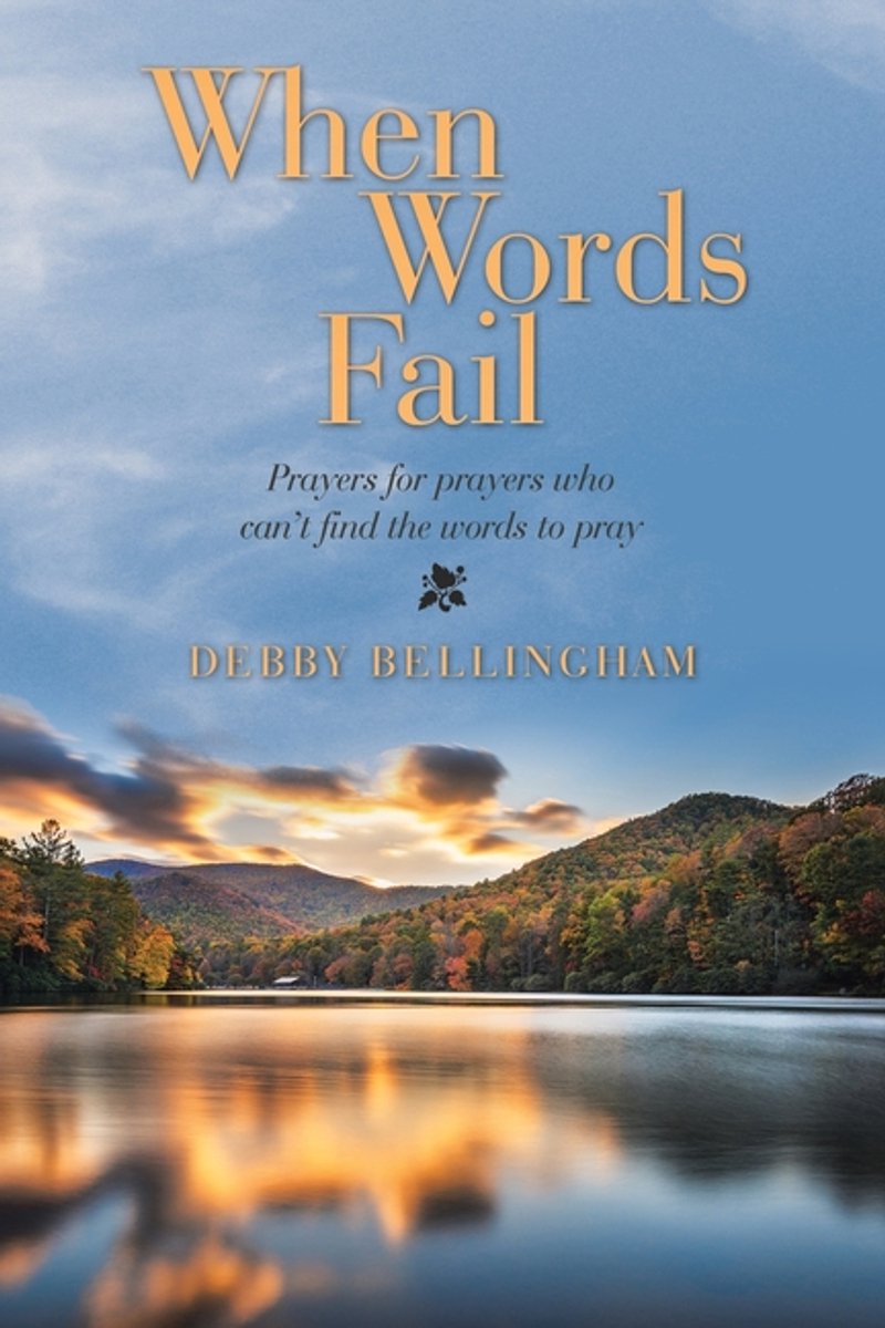 When Words Fail van Debby Bellingham