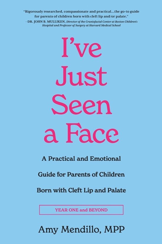 Year One and Beyond- I've Just Seen a Face - cover