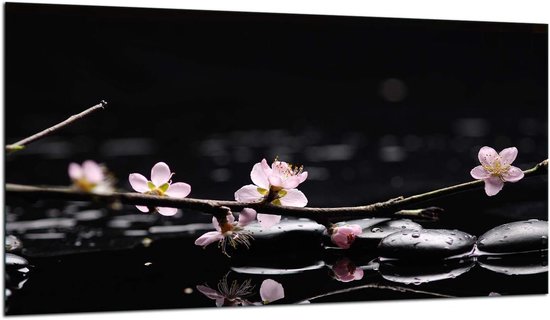 Kookplaat Afdekking 90 x 52 cm van Glas - Inductie en Keramische Kookplaat Bescherming
