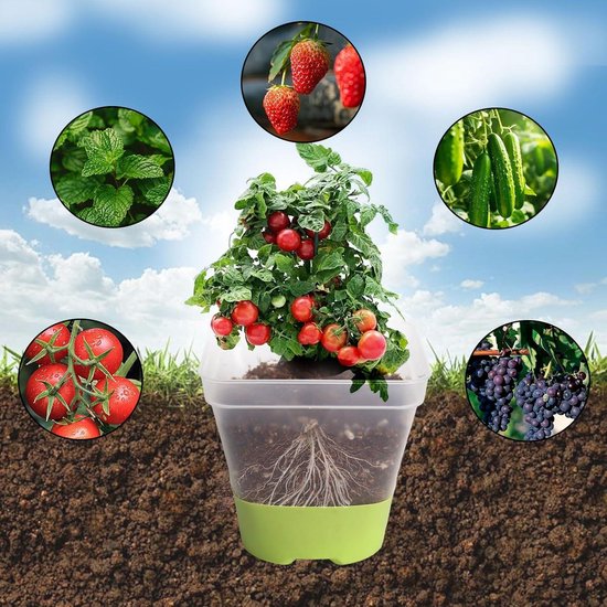 JRILUO 4 stuks waterniveau-indicatoren voor planten, meetinstrumenten met schaal voor bloempotten, 2 × 22,8 cm & 2 × 20 cm, compatibel met potten, bodem, substraat, binnen en buiten