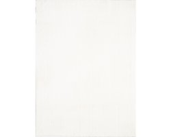 the carpet Comfy Vloerkleed – Zacht bonttapijt, 100% polyester, wasbaar, geschikt voor vloerverwarming, Öko-Tex gecertificeerd, crème, 300 x 400 cm