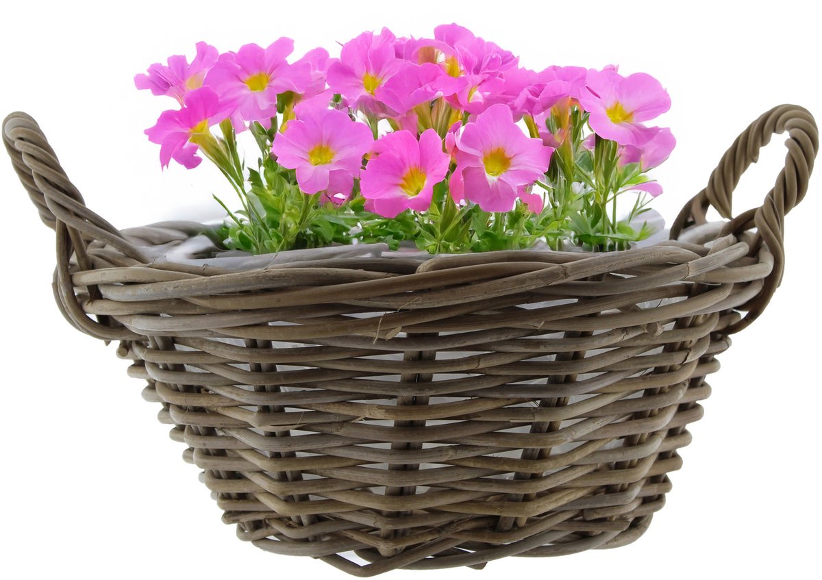 Van der Leeden Planten/bloemen mand met hengsels - rond - bruin - D43 x H18 cm - rotan gevlochten - bloemenmand - plantenmand - plantenpot