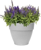 Elho Vibia Campana Rond 30 - Bloempot - Living Concrete - Buiten  - Ø 30 x H 25.3 cm