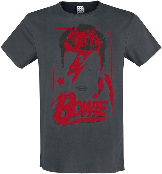 David Bowie Amplified Collection - Aladdin Sane Heren T-shirt - houtskool - 3XL