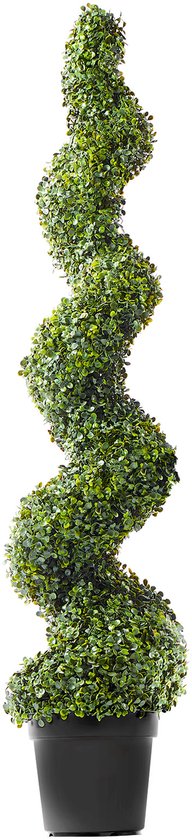 Een groene, spiraalvormige topiary boom in een zwarte pot op een witte achtergrond.