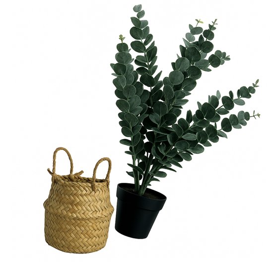 Plante artificielle d'eucalyptus et un panier tressé séparé avec des poignées, sur fond blanc.