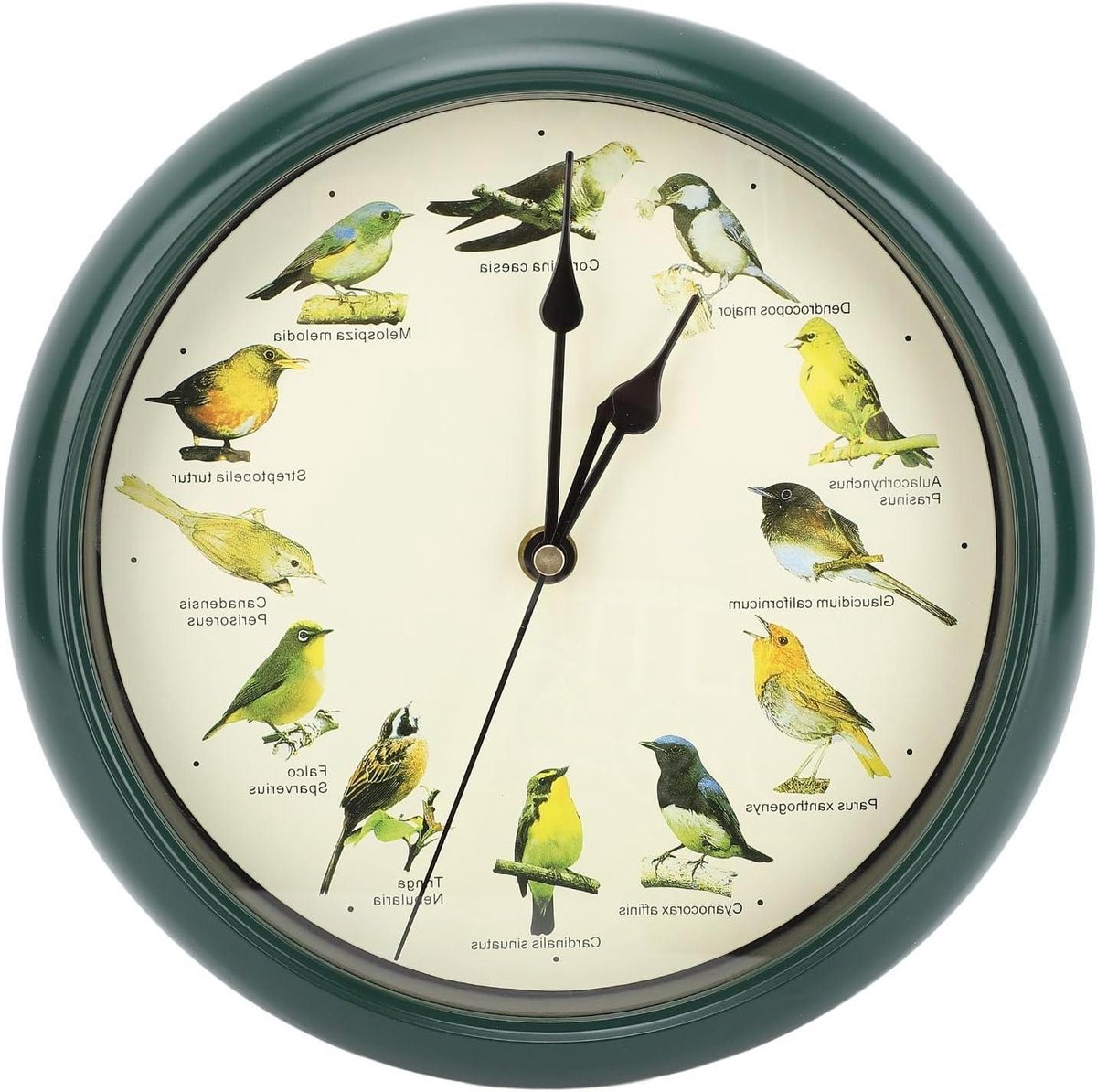 10 Inch Wall Clock with Bird House Design - Silent Analog Clock for Bathroom, Garden, Kitchen - Wall Decorative Clock with Bird Calls and Christmas Music - Battery Operated Clock for Living Room - Green