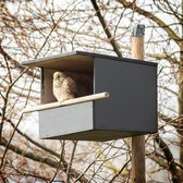 Bol.com CJ Wildlife - Nestkast Torenvalk - Hout - FSC-gecertificeerd aanbieding