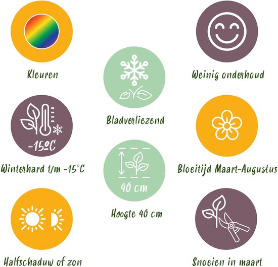 Iconen met uitleg: regenboog, thermometer met -15C, zon, sneeuwvlok, bloem, planten, hoogte 40cm, snoeischaar.