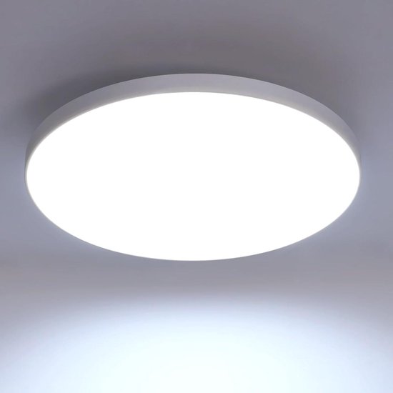 B.K. Licht 1393 - LED plafondlamp LED/20W/230V grijs