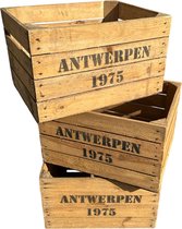 Set van 3 authentieke gebruikte houten fruitkisten met “Antwerpen 1975” opdruk. Ideaal voor decoratie, opslag of meubels. Uniek karakter en veelzijdig te gebruiken binnen en buiten.