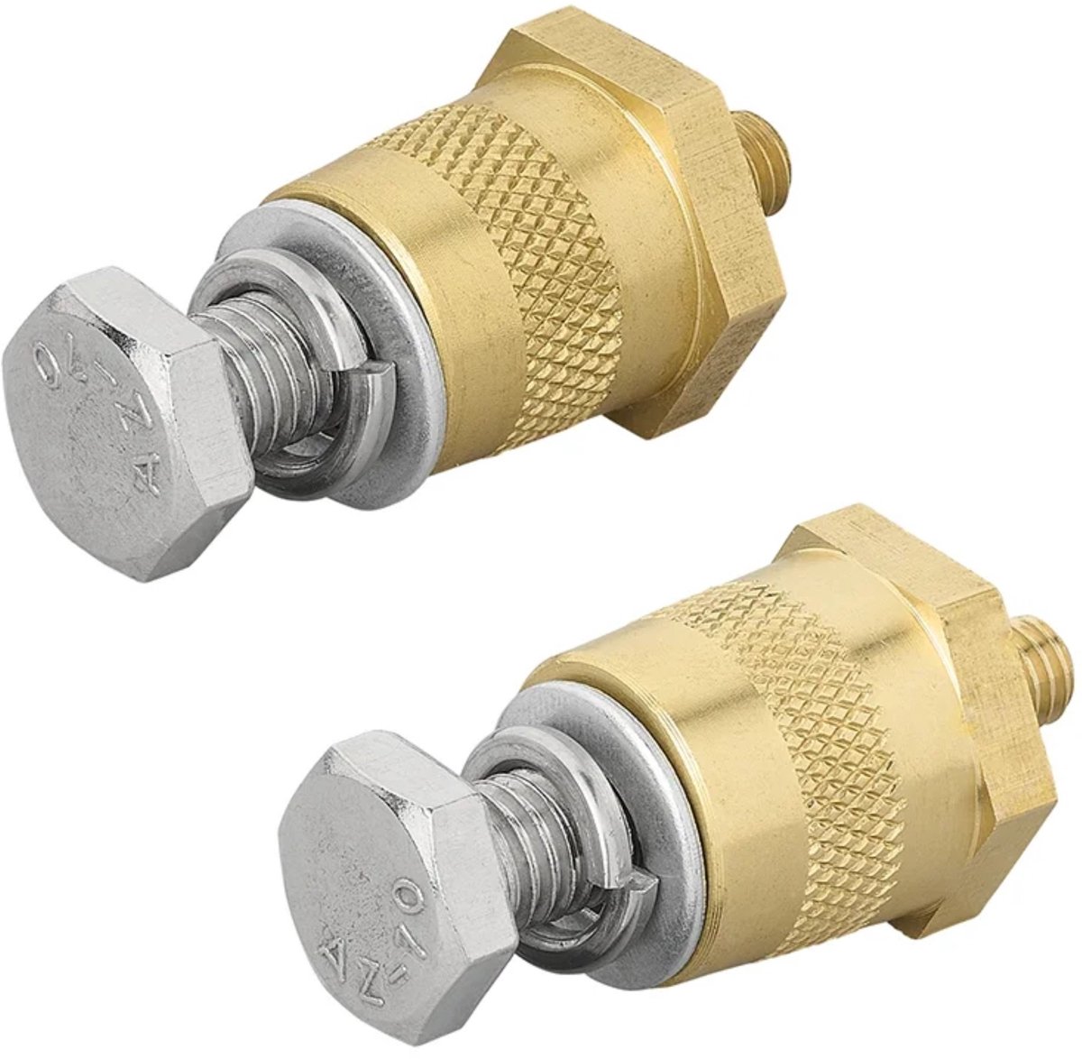 ProPlus set van 2 accupolen m6 - voor accu en lithium accu - met schroef en ring - messing/zilver