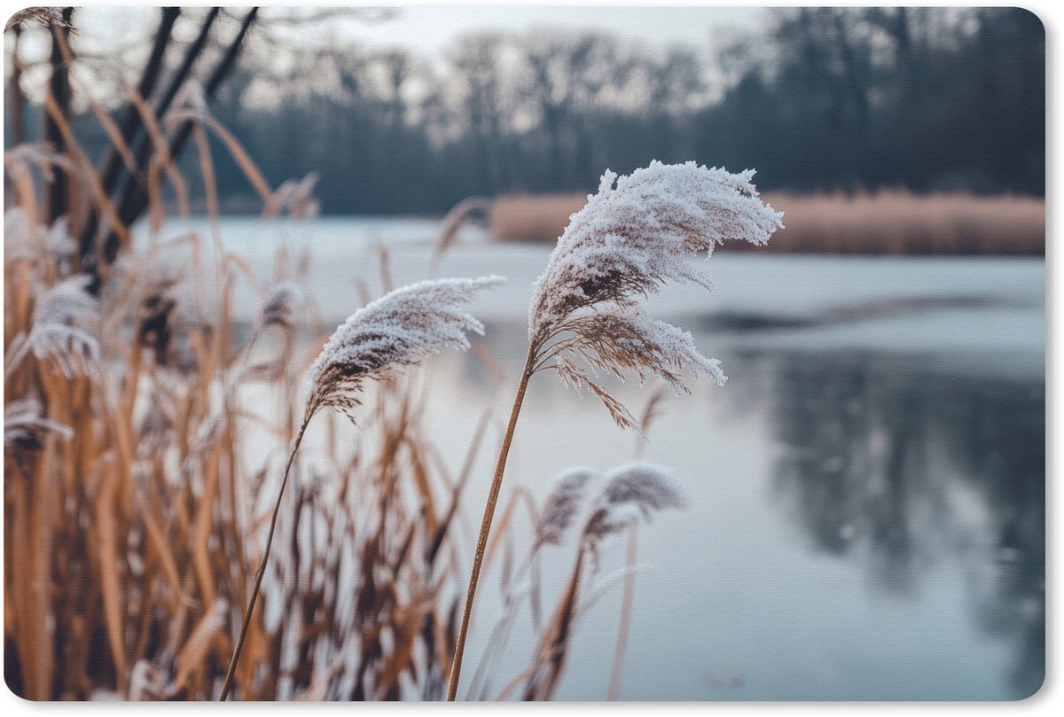 Muismat 27x18 cm - Mousepad Riet - Gras - Natuur - Winter - Meer - Muismatten