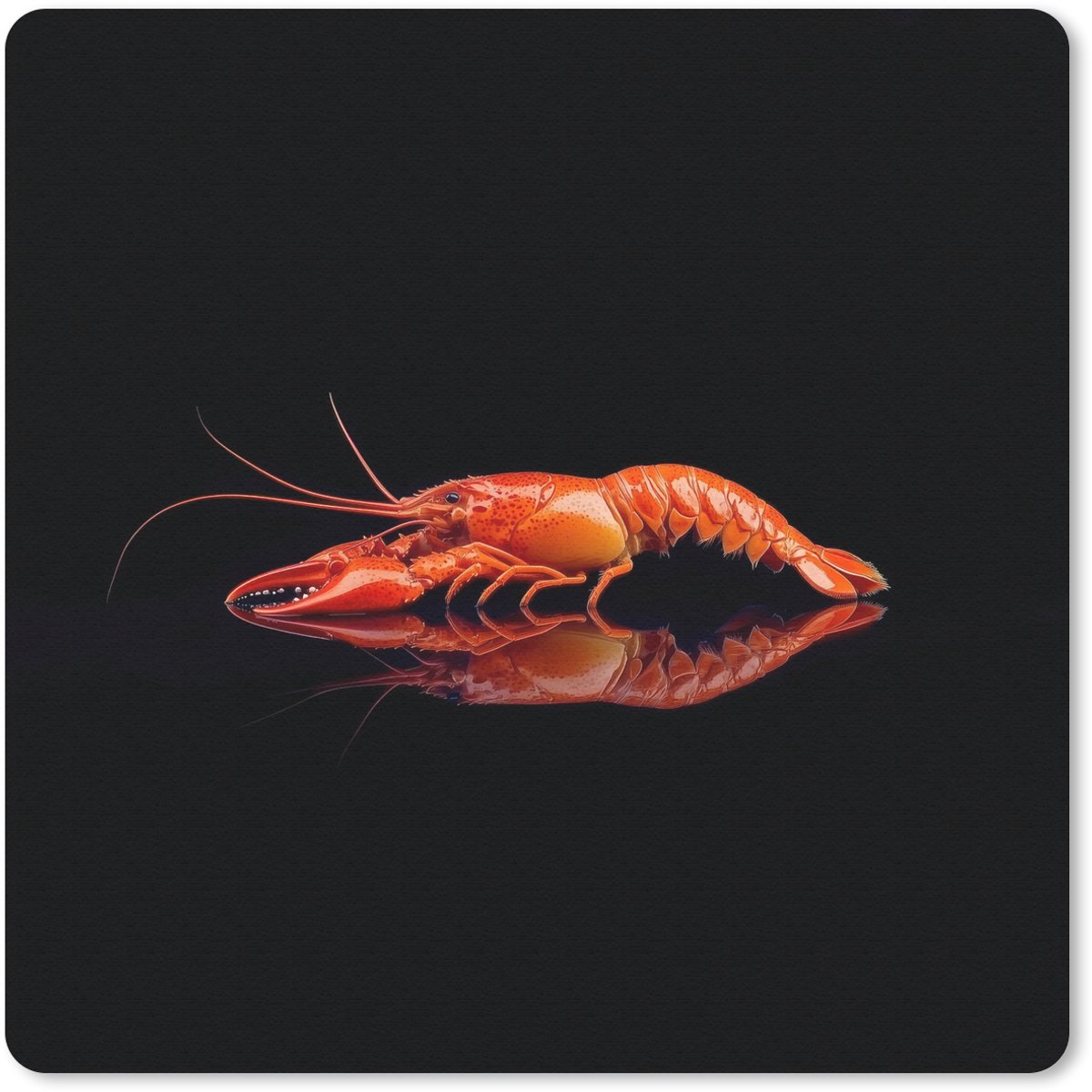 Muismat 20x20 cm - Mousepad Kreeft - Oranje - Zwart - Opvallend - Muismatten