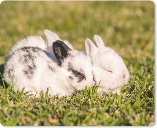 Muismat Baby konijnen - Drie baby konijnen in een veld muismat rubber - cm -... | bol.com