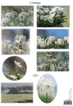 CraftEmotions Knipvellen voorjaarsbloemen 1 wit A4 160 grm