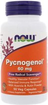 Now Pycnogenol 60 Mg 50 Caps