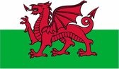 Vlag Wales  90 x 150 cm feestartikelen - Wales /Y Ddraig Goch rode draak landen thema supporter/fan decoratie artikelen