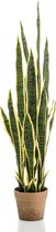 Kunstplant Vrouwentong Sansevieria incl. sierpot terra