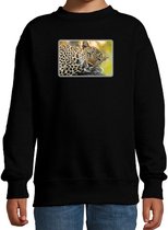 Dieren sweater met jaguars foto - zwart - voor kinderen - jaguar cadeau trui - sweat shirt / kleding 3-4 jaar (98/104)