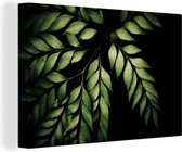 Les branches d'une fougère sur une toile de fond noir 30x20 cm - petit - Tirage photo sur toile (Décoration murale salon / chambre) / Peintures Fleurs sur toile