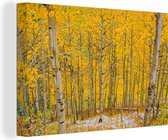 Canvas Schilderij Populieren in bos in de herfst - 60x40 cm - Wanddecoratie