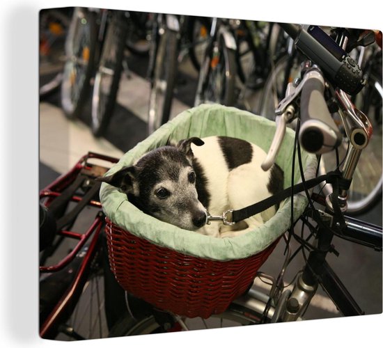 Canvas Schilderij Jack Russel hond in een fietsmand - 40x30 cm - Wanddecoratie