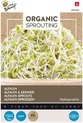 Buzzy® Organic Sprouting Alfalfa (BIO)